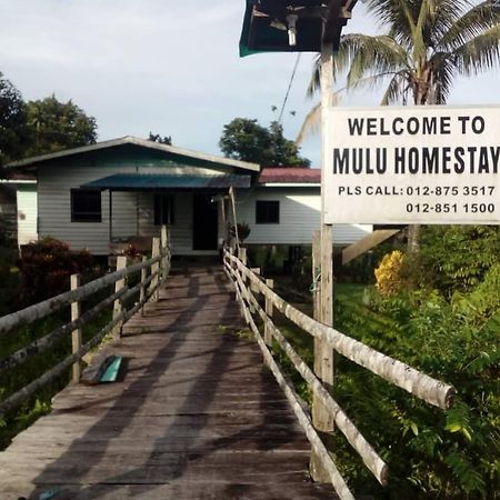 Mulu Homestay Exterior photo