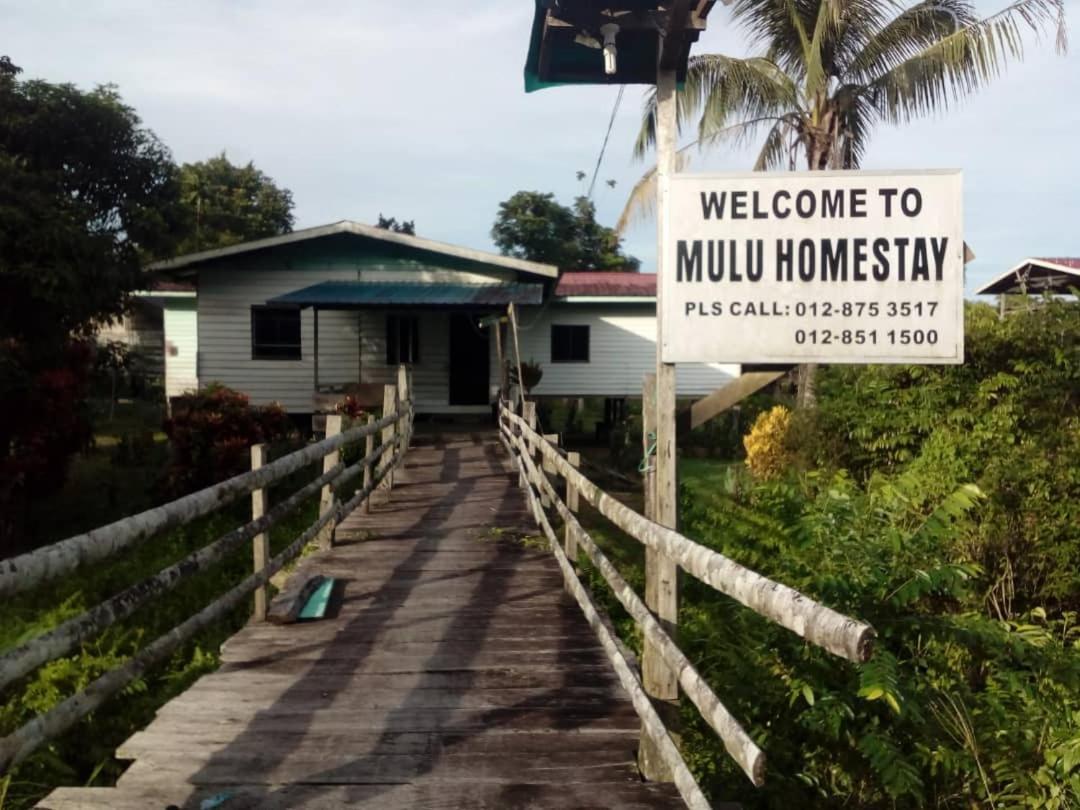 Mulu Homestay Exterior photo