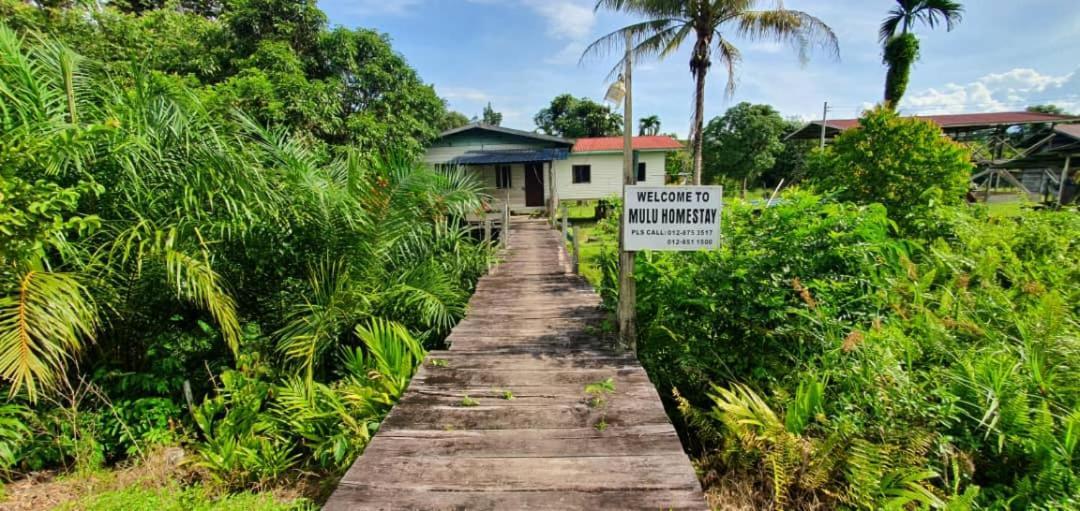 Mulu Homestay Exterior photo